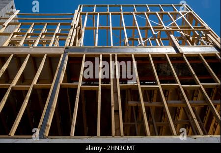 Telaio in legno per un nuovo edificio a Carlton, Melbourne, Victoria, Australia. Foto Stock