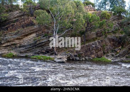 Dights Falls e si svezzano sul fiume Yarra, Abbotsford, Melbourne, Victoria, Australia. Foto Stock