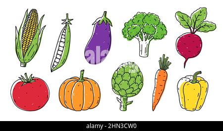 Un insieme di verdure - mais, piselli, melanzane, broccoli, barbabietole, pomodoro, zucca, carciofo, carota e peperone. Cibo sano biologico. Illustrazione vettoriale disegnata a mano in stile doodle. Illustrazione Vettoriale