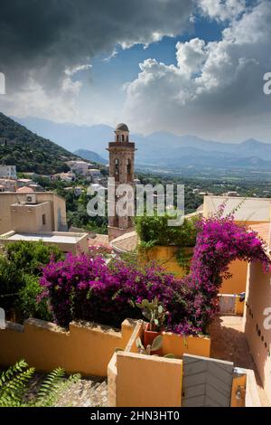 Fiori in giardino nella città di Lumio in Corsica sul mare mediterraneo Foto Stock