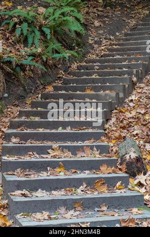 Scala in cemento che conduce a una passerella attraverso il parco. Vista ravvicinata di una scala in cemento nel parco autunnale Foto Stock