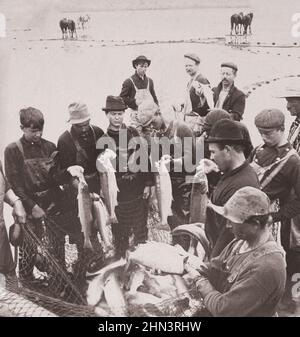 Foto d'epoca dell'industria del salmone dell'Oregon: Primo viaggio della stagione. Columbia River, Oregon, Stati Uniti. 1904 uomini con pesce in rete in primo piano; cavalli di riv Foto Stock