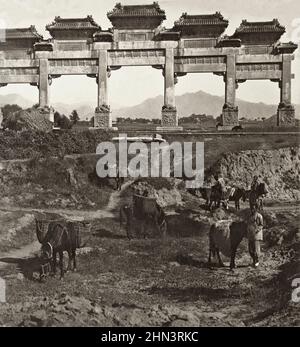 Foto d'epoca di uomini cinesi in vestito tradizionale e coda con asini caricati in primo piano di bel Pailow in marmo, ingresso al viale di st Foto Stock