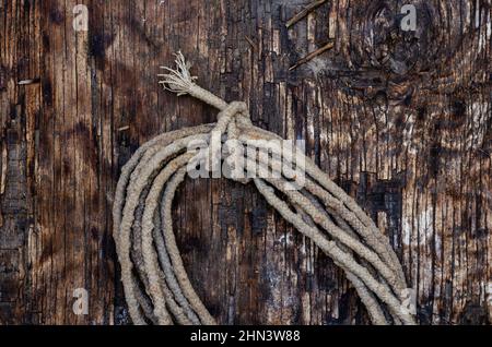 Bobina di vecchia corda su sfondo di legno scuro. Fune sporca e usurata. Superficie di legno incrinata con crepe e trucioli. Messa a fuoco selettiva. Foto Stock