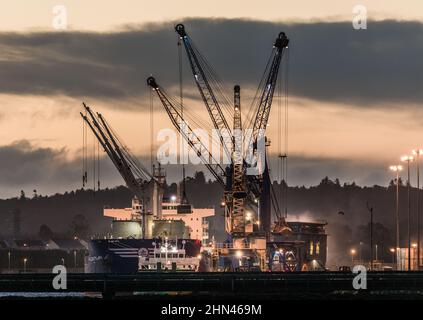 Ringaskiddy, Cork, Irlanda. 14th Febbraio, 2022. Le gru portuali interrate sono impegnate a scaricare il portarinfuse Falcon Triumph con un carico di grano proveniente dall'Argentina, presso il molo d'acqua profonda di Ringaskiddy, Co. Cork, Irlanda. - Credit; David Creedon / Alamy Live News Foto Stock