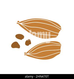 Icona cardamomo. Icona botanica disegnata a mano per etichette e confezioni in stile semplice. Simbolo di cottura per il menu. Elemento isolato singolo vettore Illustrazione Vettoriale