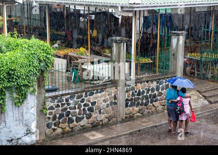 Seychelles, Les Seychelles, la république des Seychelles, Die Seychellen, die Republik Seychellen, Seychelles, Repubblica delle Seychelles, Mahé, île, Foto Stock