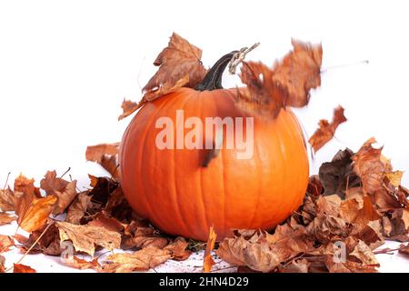 Zucca d'arancia di Halloween con foglie d'autunno stagionate che cadono, isolate su sfondo bianco Foto Stock