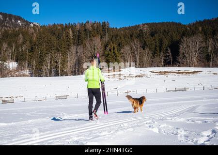 Un uomo caucasico di mezza età in abbigliamento da sci che cammina con il suo cane attraverso la neve, tenendo in mano sci di fondo e bastoncini da sci. Foto Stock