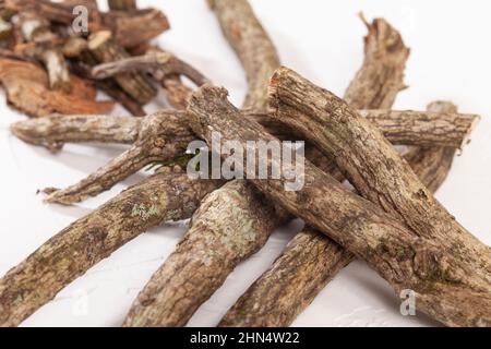 Valeriana officinalis - steli essiccati della Valeriana pianta medicinale Foto Stock