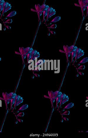 Disegno di fiori freesia, motivo senza cuciture, rosa e blu neon colori Foto Stock
