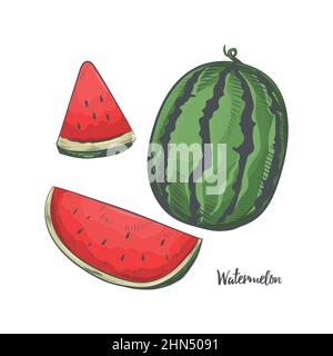 Clitpart di cocomero isolato su sfondo bianco. Illustrazione Vettoriale