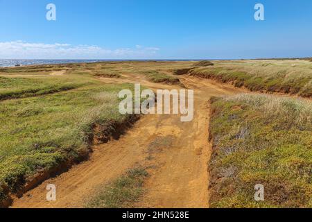 La strada per il Green Sand Beac di Big Island Foto Stock