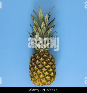Ananas tropicale estivo biologico su sfondo blu pastello. Piatto di frutta laicale minimo. Foto Stock
