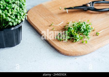 Rucola microgreens appena tagliata sul tagliere in cucina Foto Stock