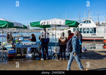 Le Vieux Port, Quai de la Fraternité, Marsiglia Francia 13 Paca Foto Stock