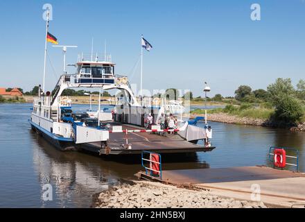 Il Darchau a Neu Darchau traghetto 'Tanja' sul fiume Elba in bassa Sassonia, Germania, Europa Foto Stock