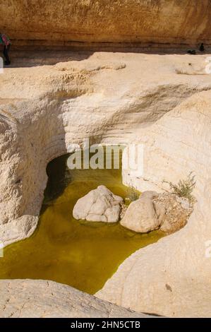 Peres Waterholes a Nahal Peres (anche Wadi Peres, Peres Creek, Peres River o Peres Stream) è un fiume stagionale a sud del deserto della Giudea, ISR Foto Stock