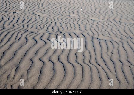 Ondate di vento sulla spiaggia di sabbia. San Blas, Nayarit, Messico. Foto Stock