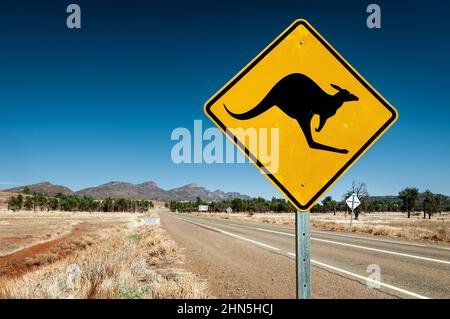 Tipico cartello stradale australiano che segnala l'attraversamento dei canguri. Foto Stock