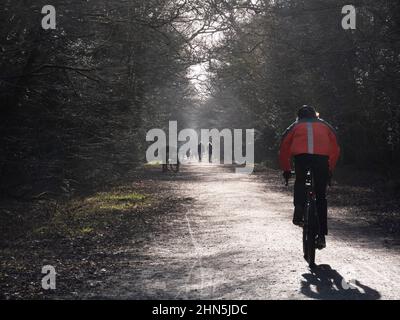 Rambla ciclisti e escursionisti sul sentiero nella foresta di Epping, Essex Foto Stock