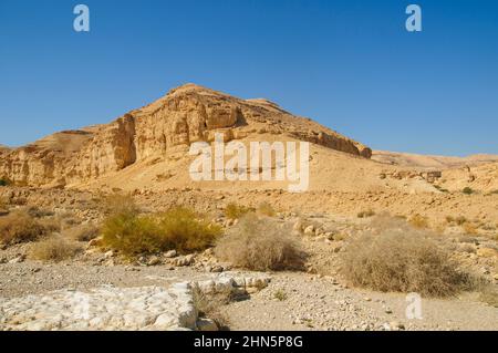 Nahal Peres (anche Wadi Peres, Peres Creek, Peres River o Peres Stream) è un fiume stagionale al sud del deserto della Giudea, Israele che scorre in Foto Stock