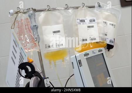 Italia, Arezzo, 19 novembre 2020 : donazione al plasma per un progetto di trasfusione al plasma da parte di persone curate. Sperimentazione del plasma del Foto Stock