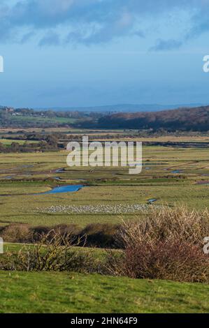 Vista di Cuckmere Haven all'alba in una mattinata d'inverno da Seaford Head Foto Stock