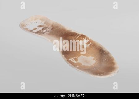 Solette ortopediche vecchie e shabby isolate su sfondo grigio. Solette in pelle sporche. Oggetti usurati con fori. Suole interne di scarpe. Vista dall'alto Foto Stock