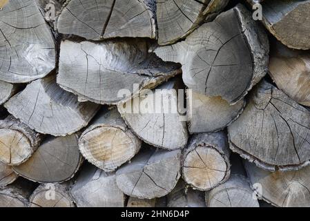 Mucchio di legna da ardere stagionata Foto Stock