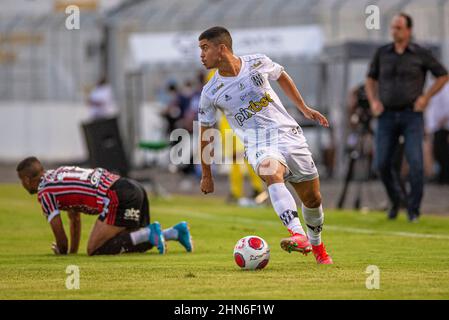 Campinas, Brasile. 13th Feb 2022. SP, questa Domenica, 13. Credit: Fabio Leoni/FotoArena/Alamy Live News Foto Stock