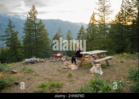 Seduti intorno al fuoco con cani in montagna Foto Stock