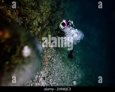 Immersioni subacquee lungo una barriera corallina nel Mar Cinese Orientale Foto Stock