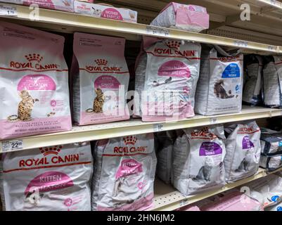 Woodinville, WA USA - circa Febbraio 2022: Angolato, fuoco selettivo sul cibo Royal Canin gatten all'interno di un negozio Petsmart. Foto Stock