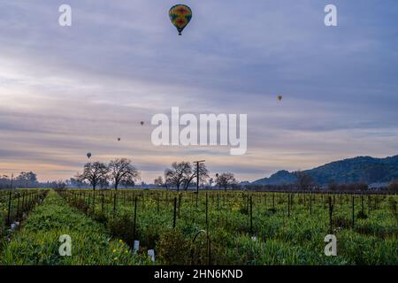 Viaggio in mongolfiera di prima mattina attraverso Napa Valley, California Foto Stock