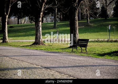 Panca singola in legno, concetto unico idea e sole giù e ombre di alberi e panca durante il tramonto nel parco botanico Bursa. Foto Stock