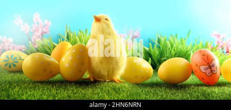 Uova di Pasqua e pollo su erba verde su sfondo blu. Carta di Pasqua. Foto Stock