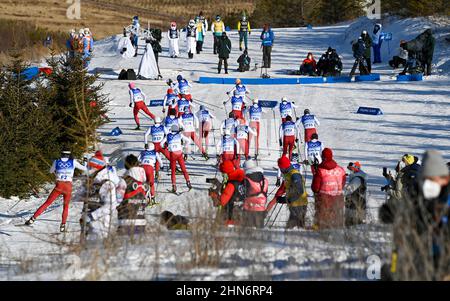 (220214) -- ZHANGJIAKOU, 14 febbraio 2022 (Xinhua) -- Torsongan Bullik e i suoi collaboratori vanno in una prova prima della qualificazione di sciare di fondo per le donne delle Olimpiadi invernali di Pechino al National Cross-Country Ski Center di Zhangjiakou, provincia di Hebei, 8 febbraio 2022. Nato in una famiglia di pastori nell'area pastorale della contea di Wenquan nella regione autonoma di Xinjiang Uygur nella Cina nord-occidentale, il Bullik Torsongan, di 27 anni, ha molte identità: pastore, maratoniere, ciclista e sciatore. Ora lavora come sciatore di prova per le Olimpiadi invernali di Pechino 2022. Molto prima Foto Stock