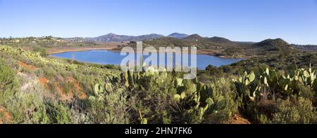 Green Desert Cactus Field e panoramico Blue Lake Hodges Landscape Panorama nel San Dieguito River Park. Giornata invernale soleggiato a piedi nella California del Sud, USA Foto Stock
