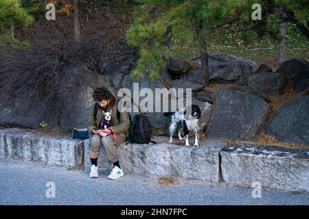 Uomo seduto e rilassante con 2 cani su rocce in un parco Foto Stock