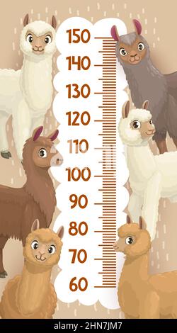 Altezza grafico di crescita misura regolo lama, alpaca, guanaco e vicuna cartoon animali. Misuratore vettoriale per bambini con divertenti personaggi peruviani. Adesivo a parete Illustrazione Vettoriale
