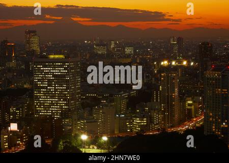 La vista degli uccelli delle luci notturne del centro di Tokyo. La silhouette del Monte Fuji è sullo sfondo. Tokyo. Giappone Foto Stock