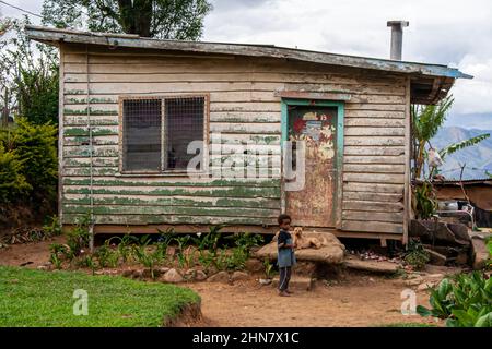 Ragazzo e cane di fronte a una piccola casetta di legno in Papua Nuova Guinea Foto Stock