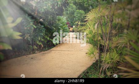 Immagine del percorso di un giardino con luce solare brillante. Foto Stock