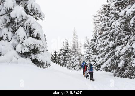 Gruppo di escursionisti a piedi sul sentiero innevato in Alto Adige, Italia durante l'inverno Foto Stock