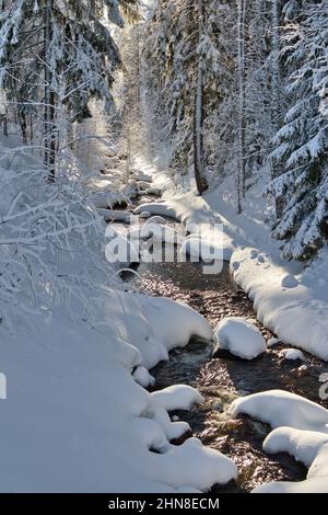 Piccolo ruscello nel parco cittadino, Imatra Finlandia Foto Stock