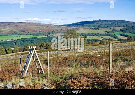 Legno stiglia su recinto cervi in brughiera, Tayside, Perthshire, con vista su terreni agricoli e colline sul lato opposto della valle, autunno, Scozia Foto Stock