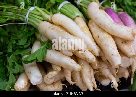 Rafano bianco esposto per la vendita al gregrocery Foto Stock