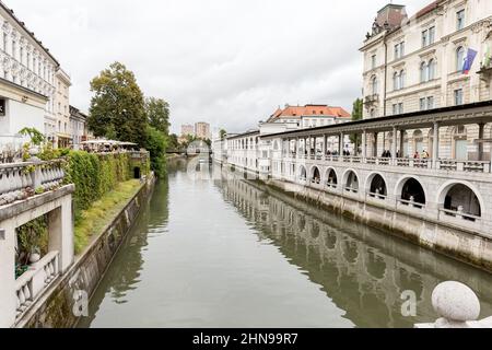 Lubiana, Slovenia - 23 agosto 2021: Fiume Lubiana con vecchio mercato centrale a Lubiana, Slovenia Foto Stock