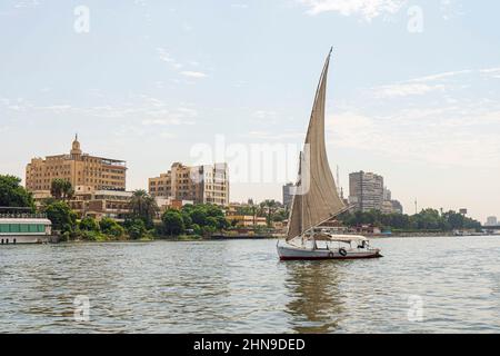 Una barca a vela su una passeggiata sul fiume naviga lungo il fiume Nilo nel centro del Cairo tra i grattacieli e le attrazioni. Foto Stock